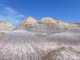 ARIZONA Petrified Forest 13