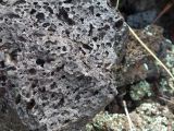 ARIZONA Sunset Crater 02