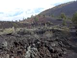 ARIZONA Sunset Crater 06 altitude 2450 m
