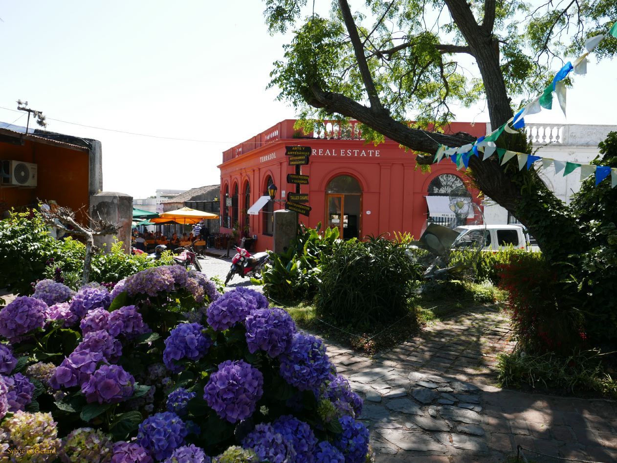 boutiques fleuries