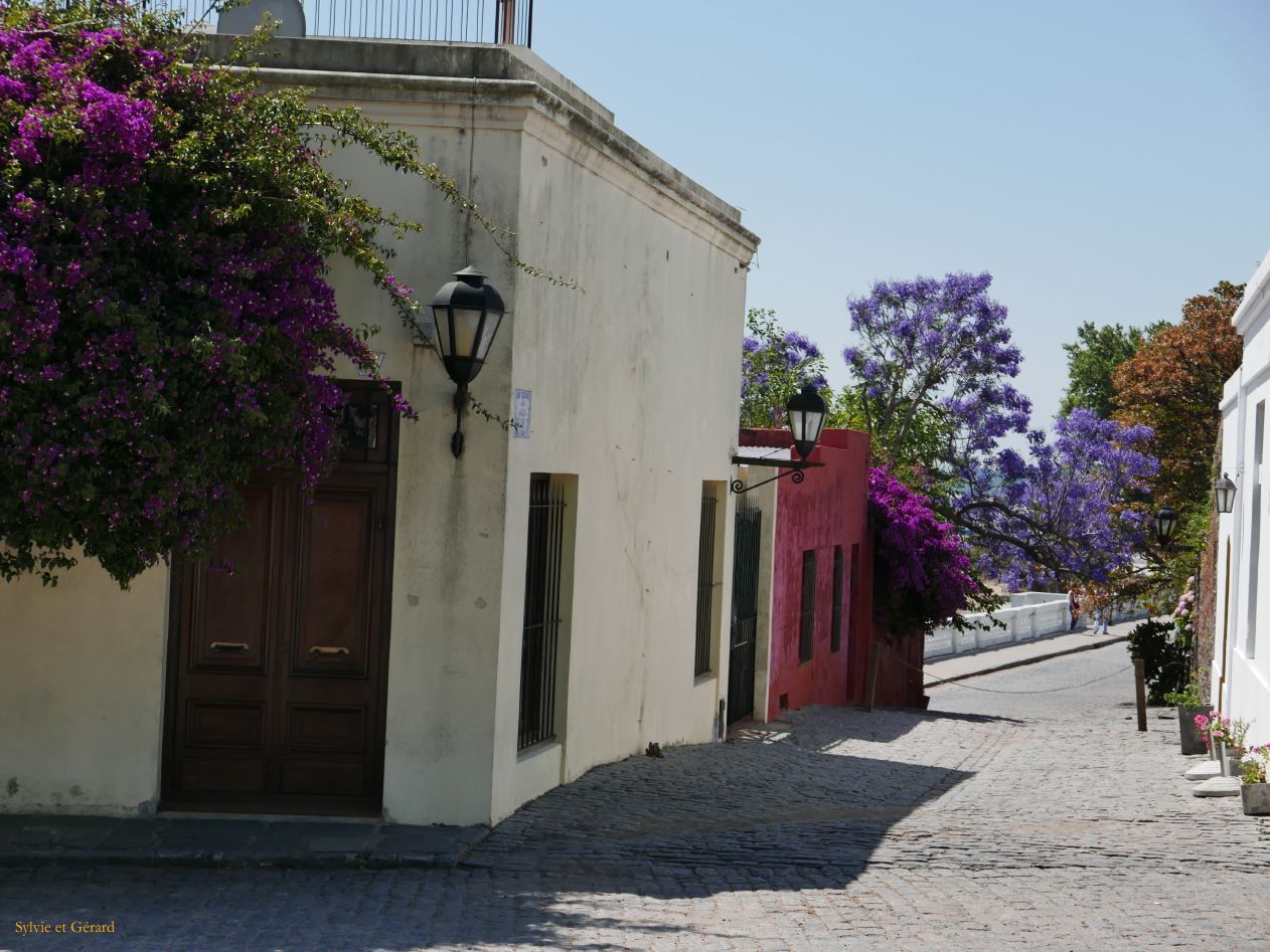 entre jacarandas et bougainvilliés