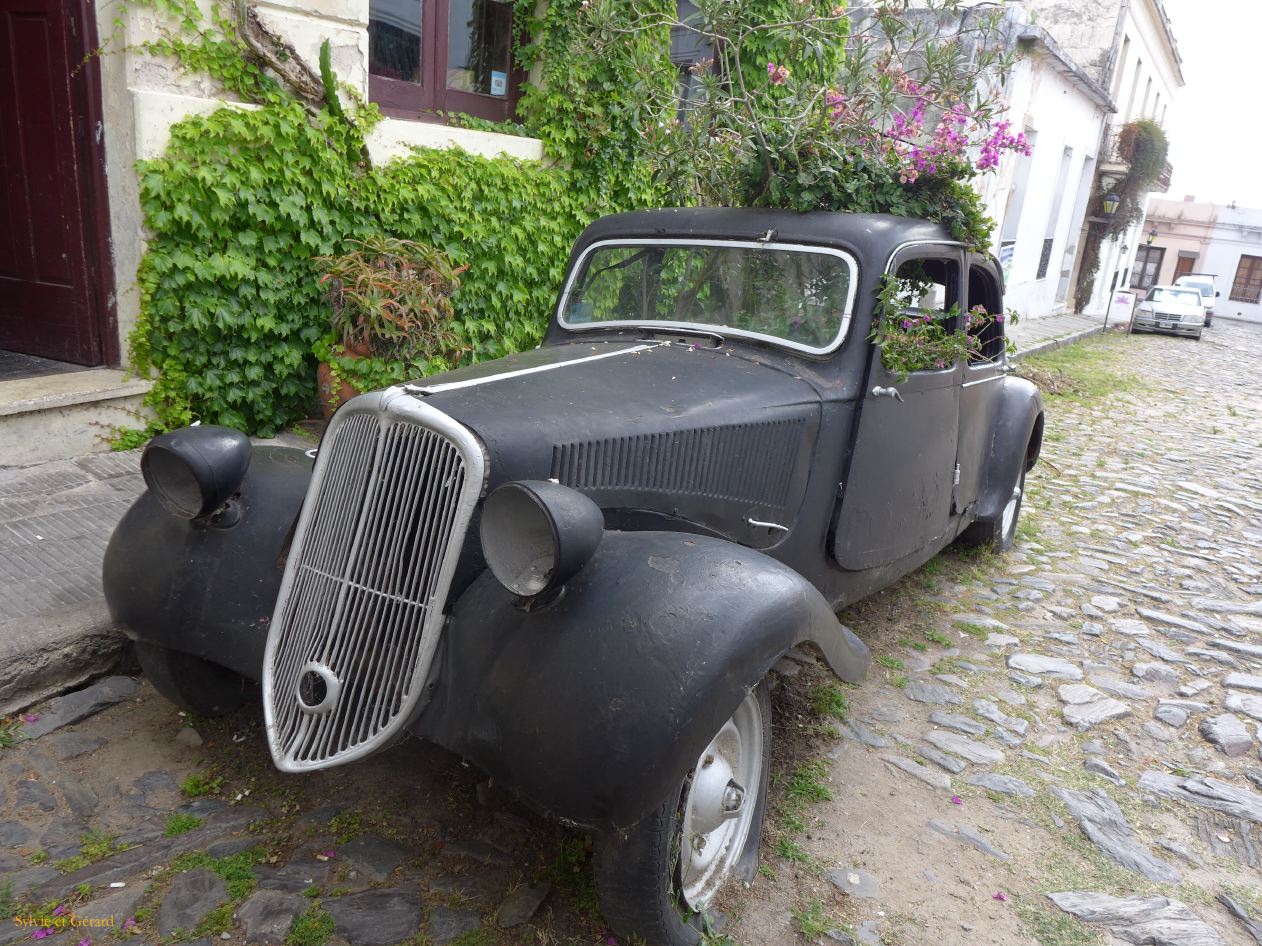 restaurant voiture fleurie