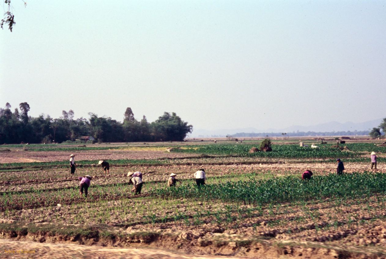 Vietnam 1994-075