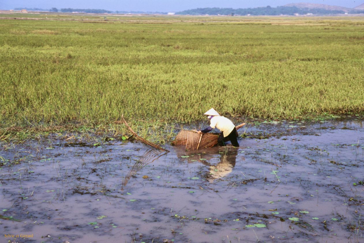 Vietnam 1994-076