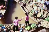 Vietnam 1994-226 Delta du Mekong 