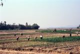 Vietnam 1994-075