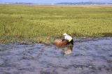 Vietnam 1994-076